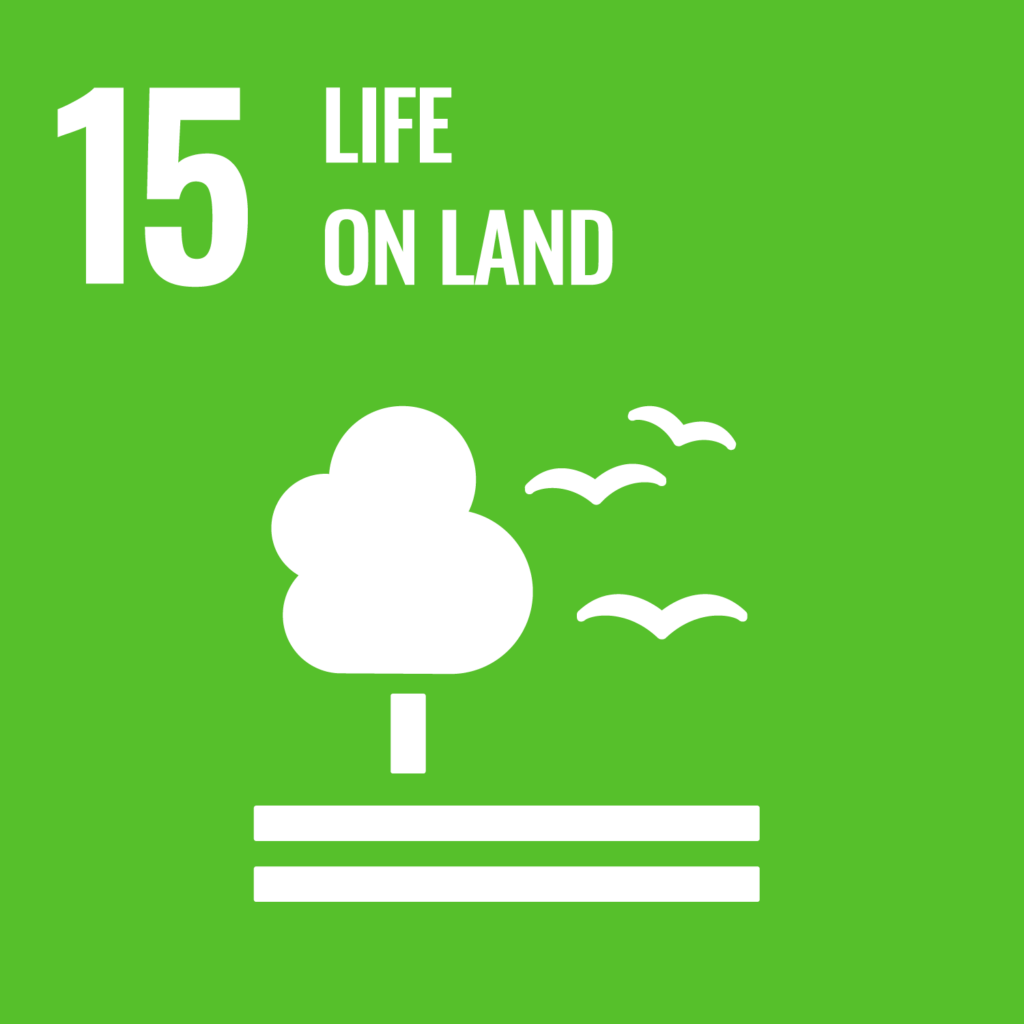 Picture of Goal 13: Climate Action - Sustainable Development Goals